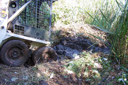 bobcat3 bobcat3