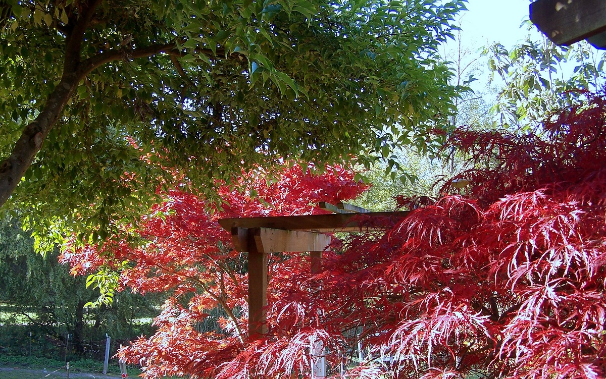 Fall 2009