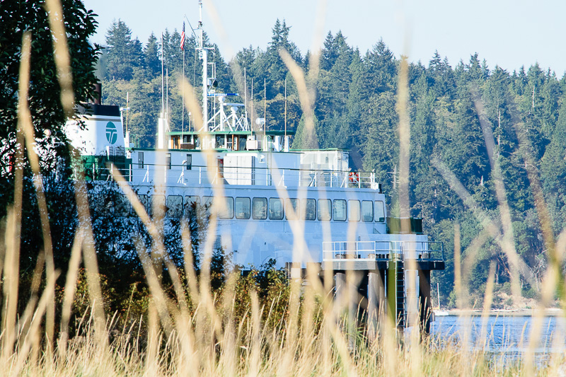 ferry-1