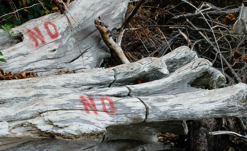 no log