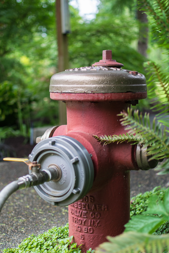 Fire hydrant 05.2016-5108