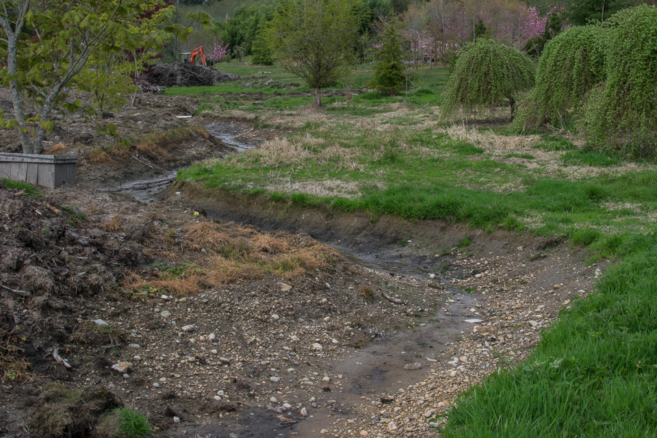 Yangs spring 2016 16-4785