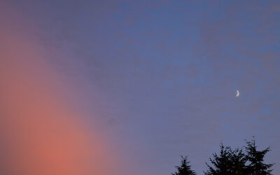 One hundred eighty-three